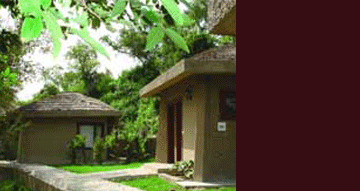 NEW 'TRAVEL' SECTION The Kikar Lodge 