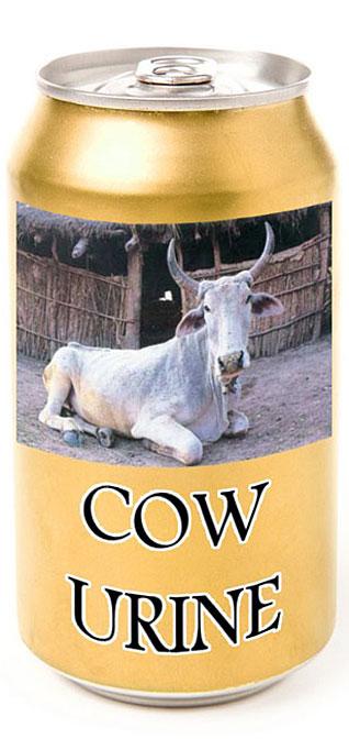 holycow-2.jpg
